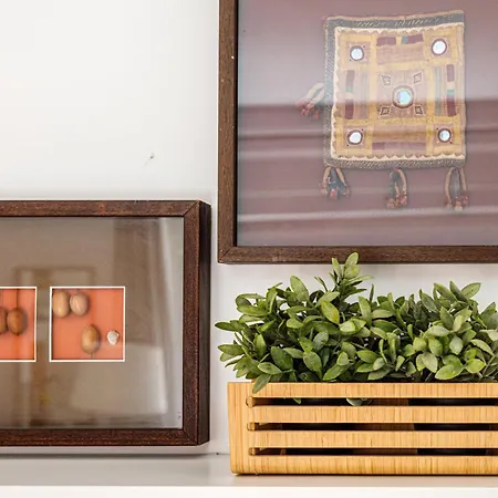 Διαμέρισμα O Quinto Esquerdo