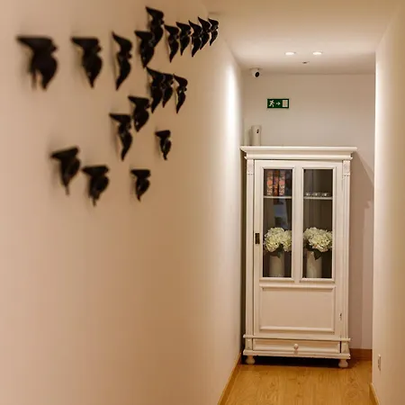 O Quinto Esquerdo Daire Lisboa