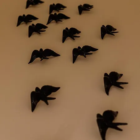 O Quinto Esquerdo Daire