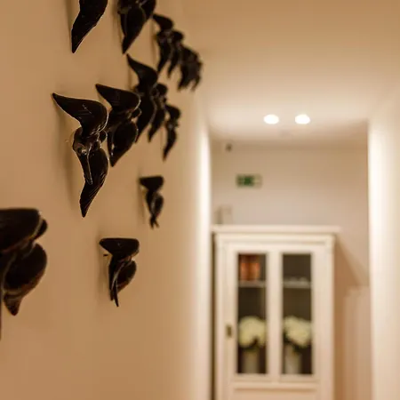 O Quinto Esquerdo Lägenhet *