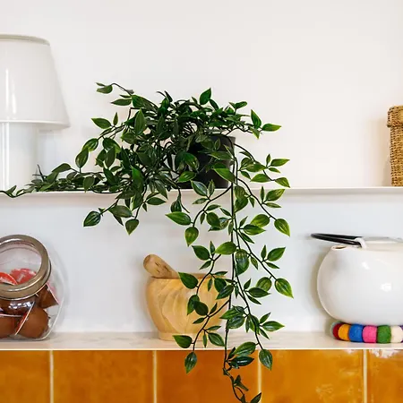 Daire O Quinto Esquerdo *